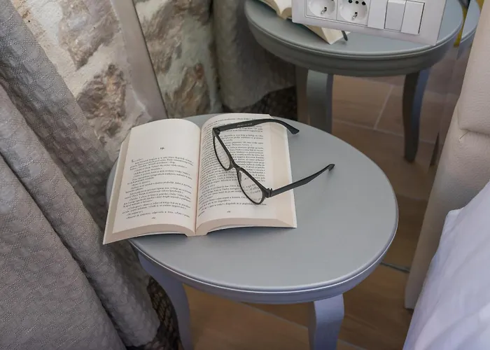 扎拉宫殿-设计旅馆