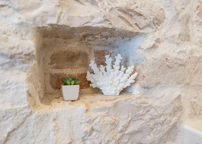 扎拉宫殿-设计旅馆 扎达尔