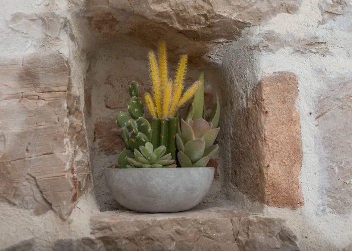 Casa de hóspedes Palace - Design