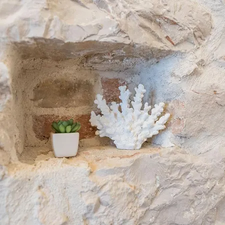 Palace - Design Ζαντάρ